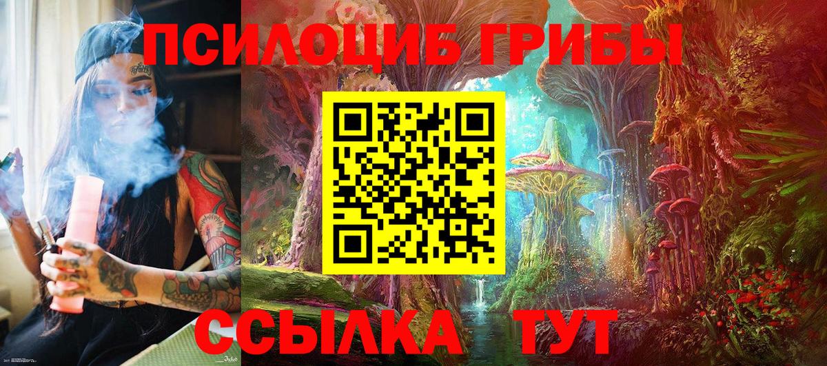 Галлюциногенные грибы ЛСД Камень-на-Оби