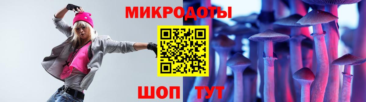 Псилоцибиновые грибы ЛСД  Вход с VPN  где продают   Камень-на-Оби 